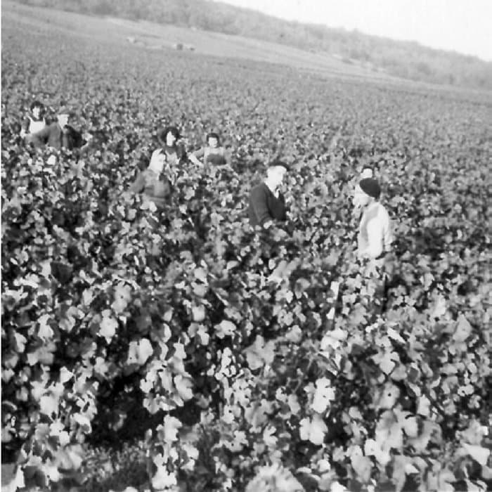 Photo d'archive en noir et blanc, au domaine