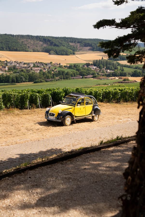 Une Citroën 2CV jaune dans les vignes