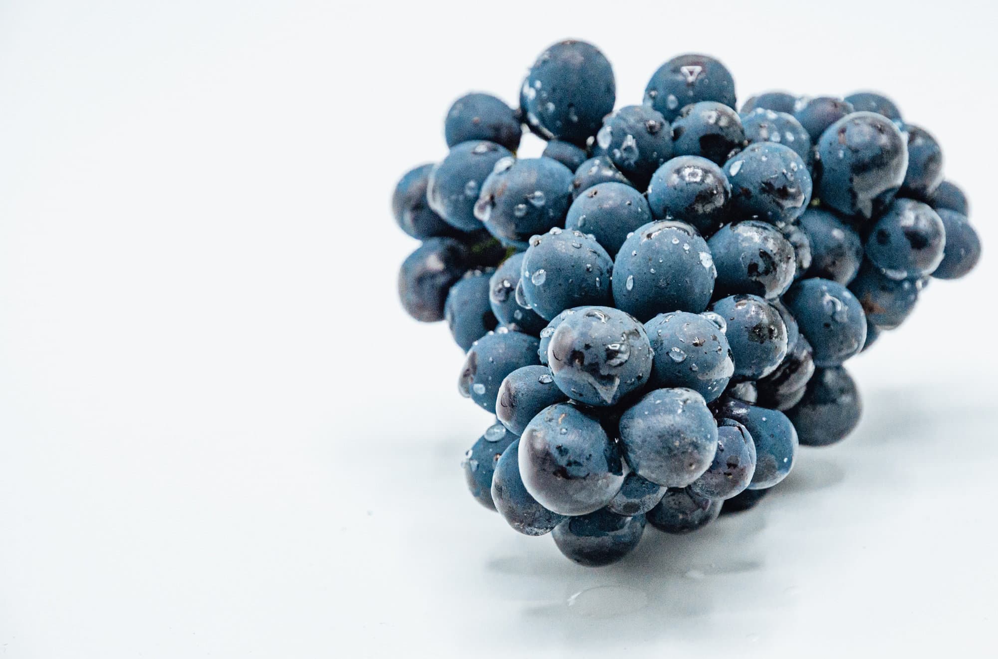 Grappe de raisin noir